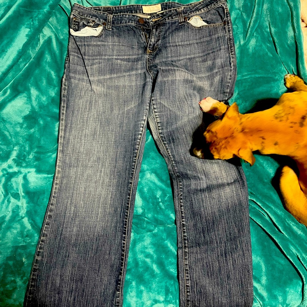 Maurice’s Taylor Boot Jeans